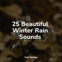 25 Beautiful Winter Rain Sounds