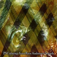 25 Calming Aura Rain Ambience Sounds