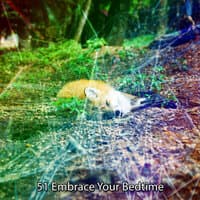 51 Embrace Your Bedtime