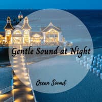 Ocean Sound: Gentle Sound at Night