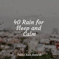 40 Rain for Sleep and Calm