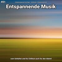 #01 Entspannende Musik zum Schlafen und für Chillout auch für den Abend