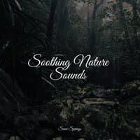 Soothing Nature Sounds