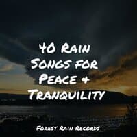 40 Rain Songs for Peace & Tranquility