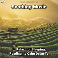 #01 Soothing Music to Relax, for Sleeping, Reading, to Calm Down To