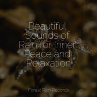 Beautiful Sounds of Rain for Inner Peace and Relaxation