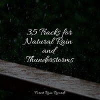 35 Tracks for Natural Rain and Thunderstorms