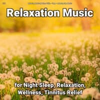 #01 Relaxation Music for Night Sleep, Relaxation, Wellness, Tinnitus Relief