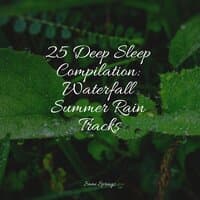 25 Deep Sleep Compilation: Waterfall Summer Rain Tracks