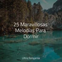 25 Maravillosas Melodías Para Dormir