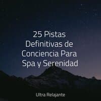 25 Pistas Definitivas de Conciencia Para Spa y Serenidad