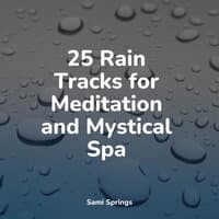 25 Rain Tracks for Meditation and Mystical Spa