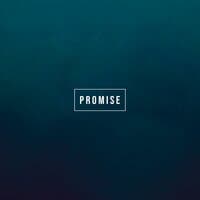 Promise