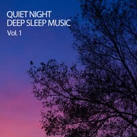 Quiet Night Deep Sleep Music Vol. 1