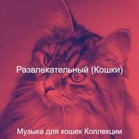 Развлекательный (Кошки)