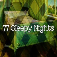 77 Sleepy Nights