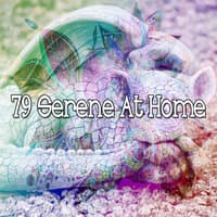 79 Serene At Home