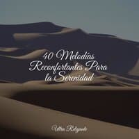 40 Melodías Reconfortantes Para la Serenidad