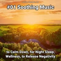 #01 Soothing Music to Calm Down, for Night Sleep, Wellness, to Release Negativity