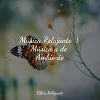 Música Relajante  | Música a de Ambiente