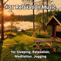 #01 Relaxation Music for Sleeping, Relaxation, Meditation, Jogging