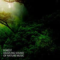 Forest: Dazzling Sound Of Nature Music