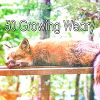 50 Growing Weary