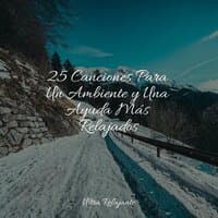 25 Canciones Para Un Ambiente y Una Ayuda Más Relajados