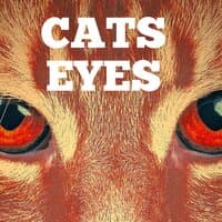 Cats Eyes