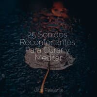 25 Sonidos Reconfortantes Para Curar y Meditar