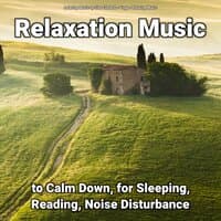 Relaxation Music to Calm Down, for Sleeping, Reading, Noise Disturbance