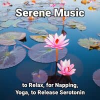 Serene Music to Relax, for Napping, Yoga, to Release Serotonin