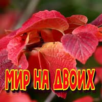 Мир на двоих