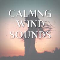 Calmng Wind Sounds