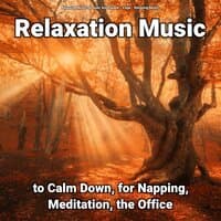 Relaxation Music to Calm Down, for Napping, Meditation, the Office