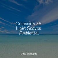 Colección 25 Light Suaves Ambiental