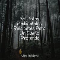 35 Pistas Ambientales Relajantes Para Un Sueño Profundo