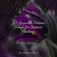 35 Loopable Serene Songs for Instant Healing