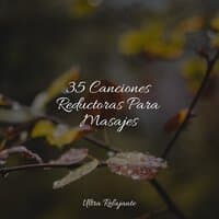 35 Canciones Reductoras Para Masajes