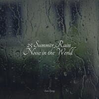 25 Summer Rain Noise in the World