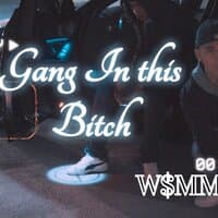 Gang In This Bitch