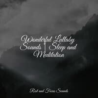 Wonderful Lullaby Sounds | Sleep and Meditation