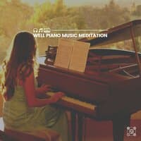 Well Piano Music Meditation