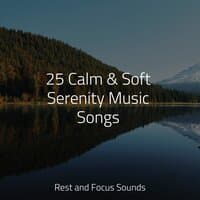 25 Calm & Soft Serenity Music Songs