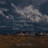 25 Sensual Spa Relaxation & Deep Sleep Rain Sounds