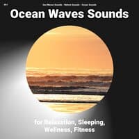 #01 Ocean Waves Sounds for Relaxation, Sleeping, Wellness, Fitness