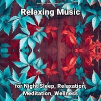 Relaxing Music for Night Sleep, Relaxation, Meditation, Wellness