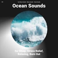 #01 Ocean Sounds for Sleep, Stress Relief, Relaxing, Burn Out