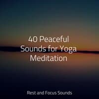 40 Peaceful Sounds for Yoga Meditation