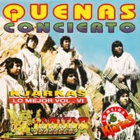 Quenas Concierto: Lo Mejor, Vol. 6